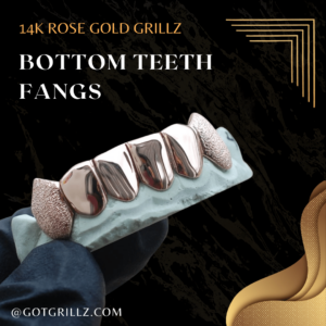 Rose Gold Diamond Dust Bottom Teeth Fangs Grillz - GotGrillz