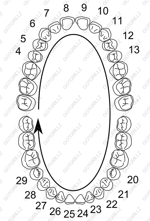 Single Cap Heart Cutout Rose - GotGrillz